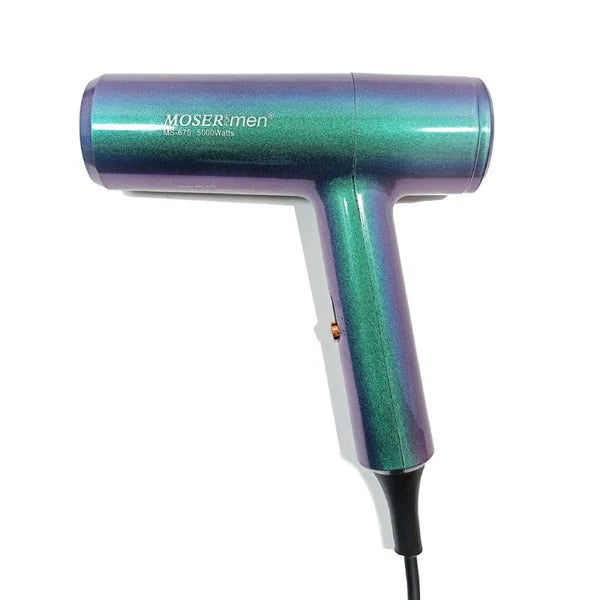 Moser Professional Hair Dryer